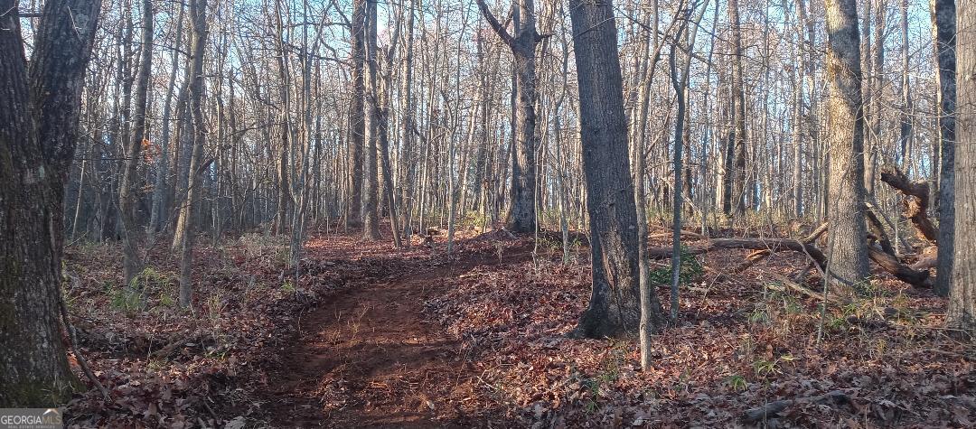 0 Lower Sassafras Parkway Jasper GA 30143