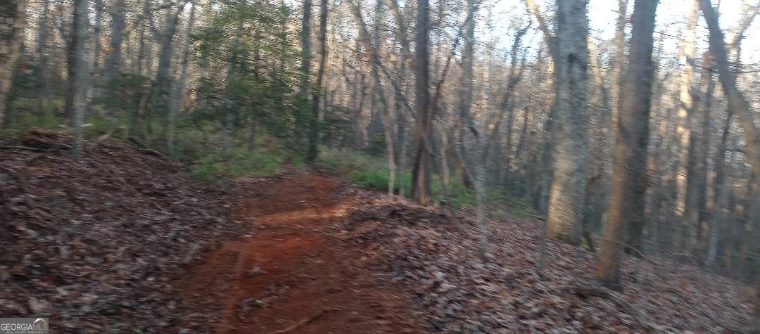 0 Lower Sassafras Parkway Jasper GA 30143