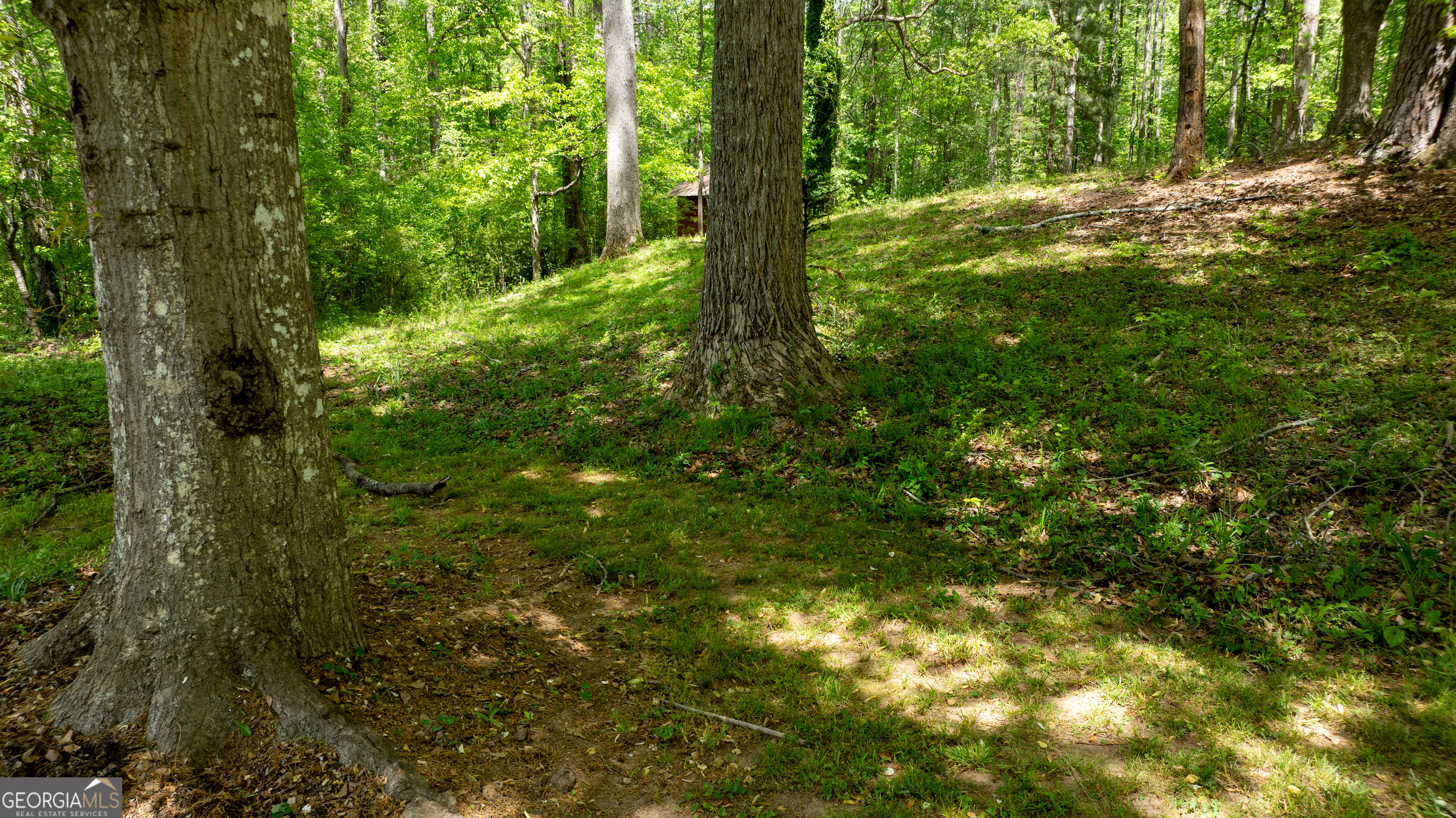 0 Glenmar Drive Newnan GA 30263
