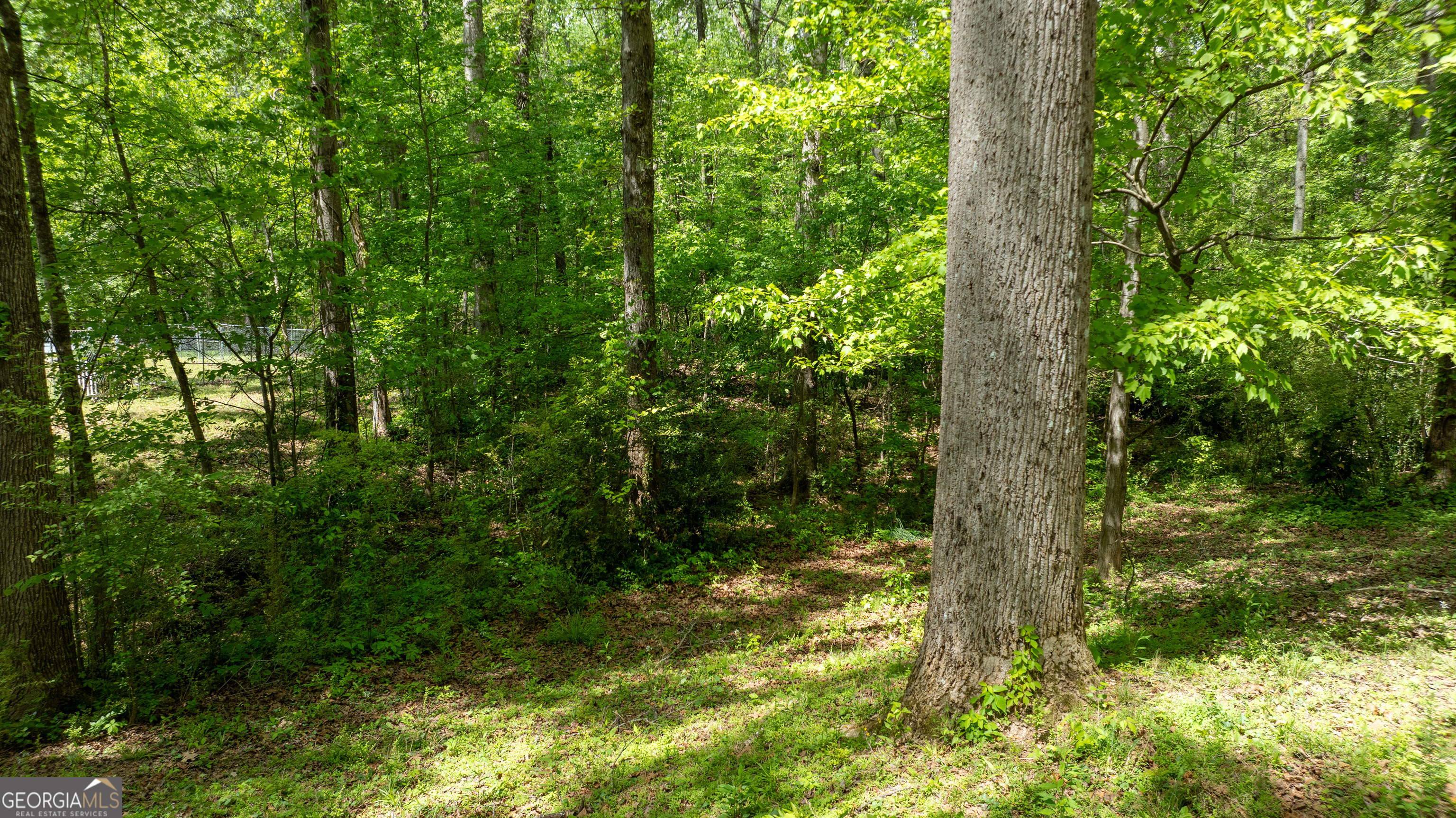0 Glenmar Drive Newnan GA 30263