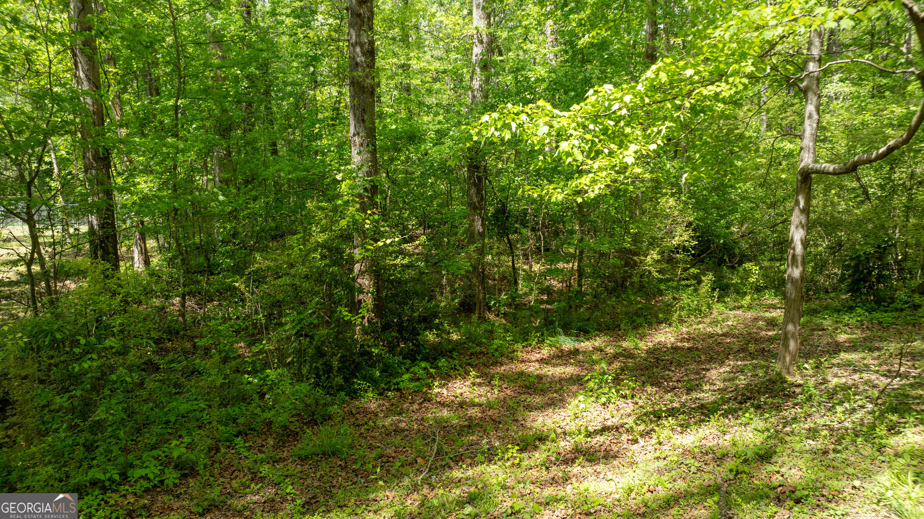 0 Glenmar Drive Newnan GA 30263