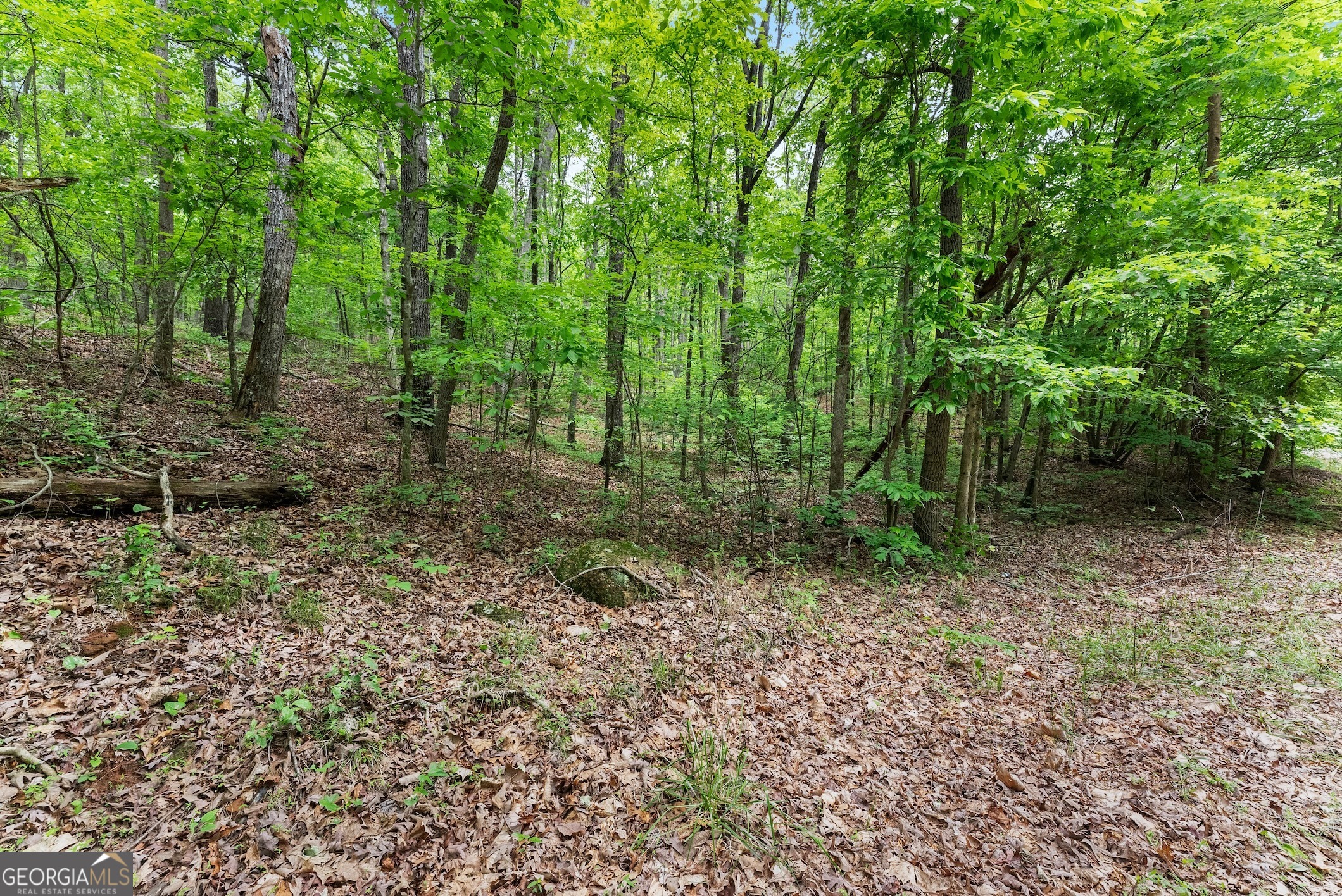 0 Long Mountain Road Cleveland GA 30528