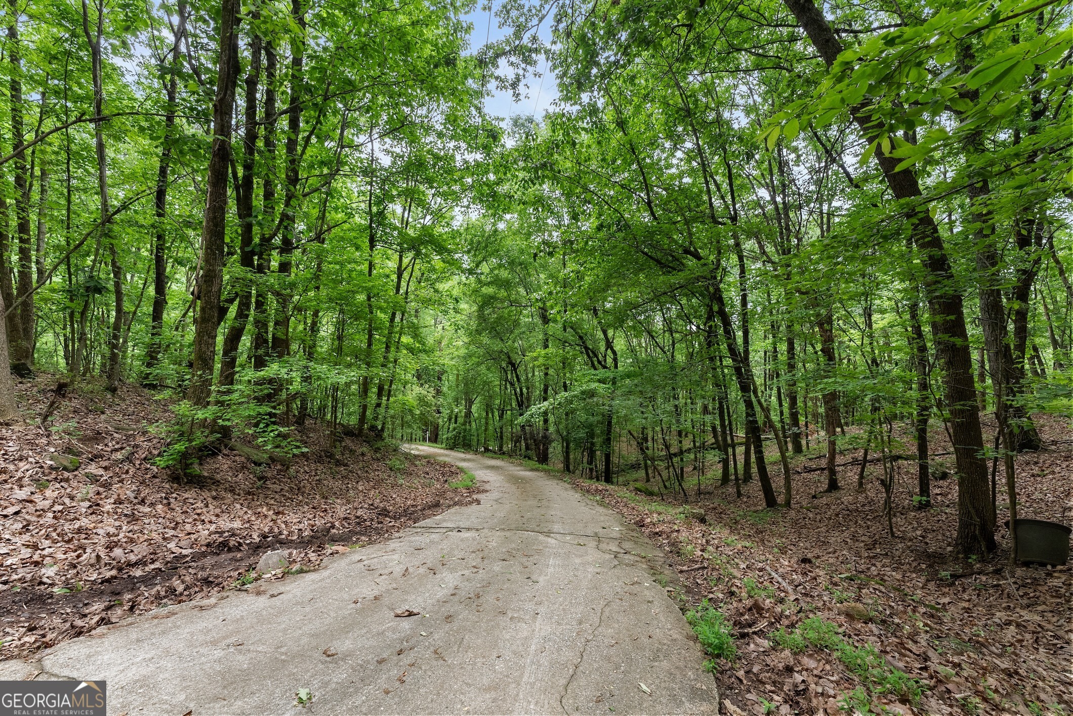 0 Long Mountain Road Cleveland GA 30528