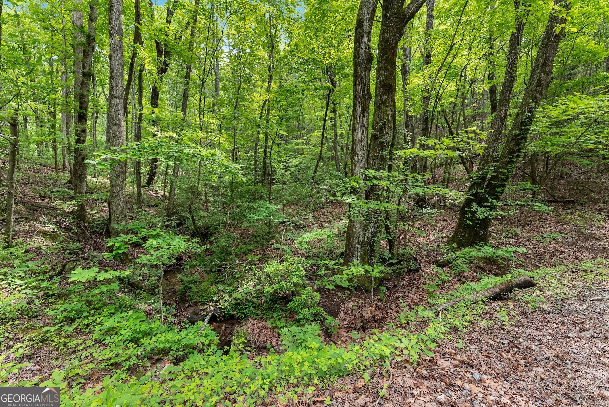0 Long Mountain Road Cleveland GA 30528