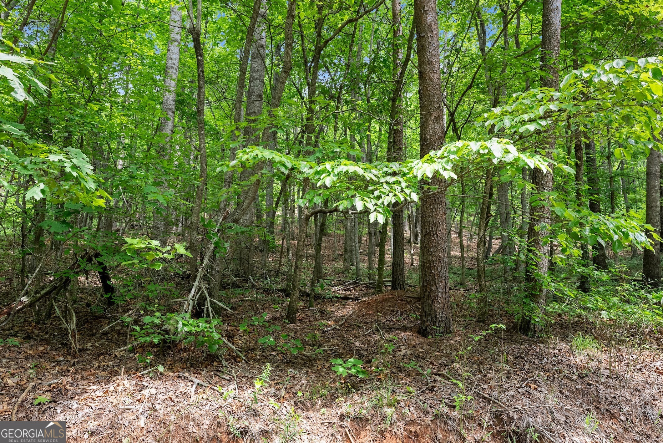 0 Long Mountain Road Cleveland GA 30528