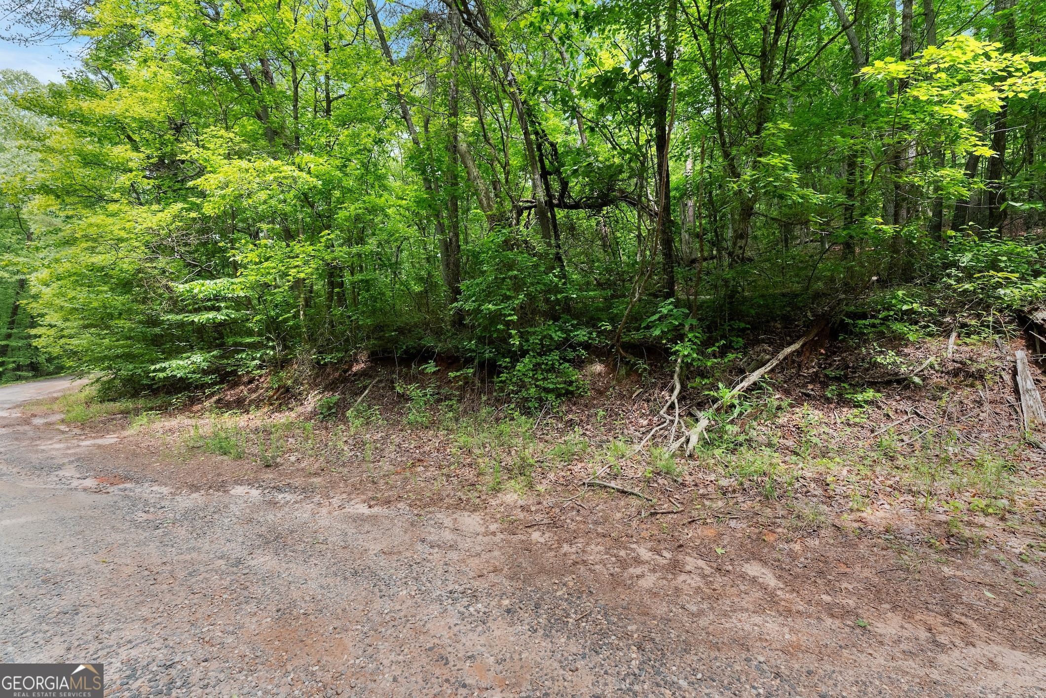 0 Long Mountain Road Cleveland GA 30528