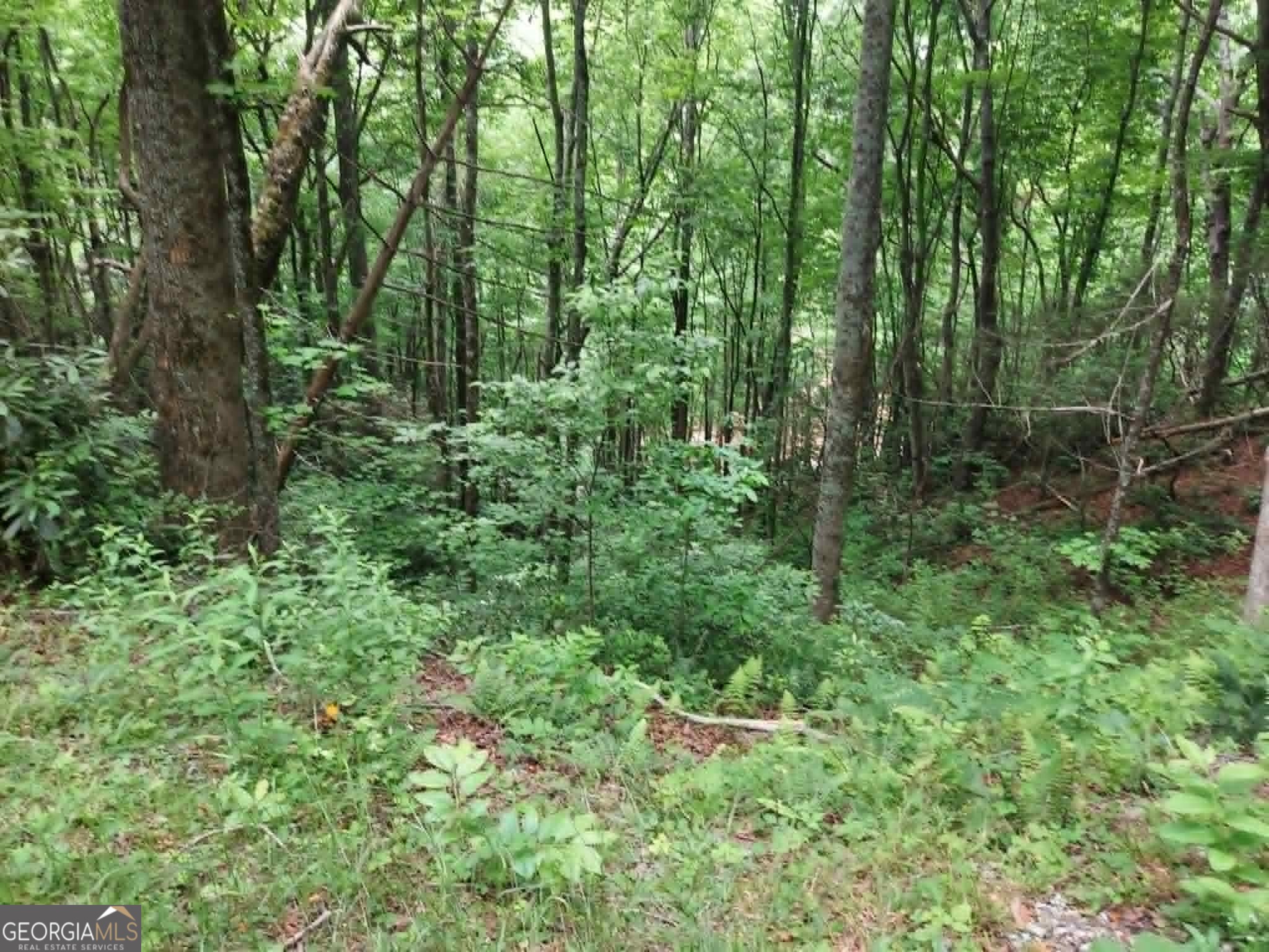 0 Lot 37 Saddleback Circle Sky Valley GA 30537