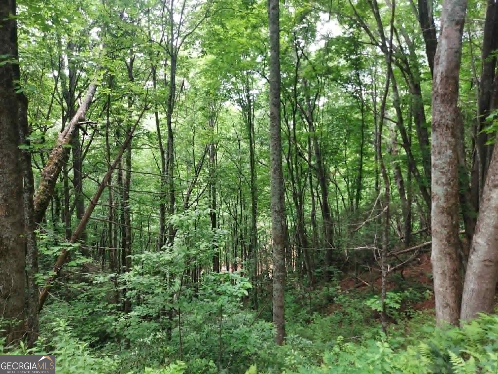 0 Lot 37 Saddleback Circle Sky Valley GA 30537