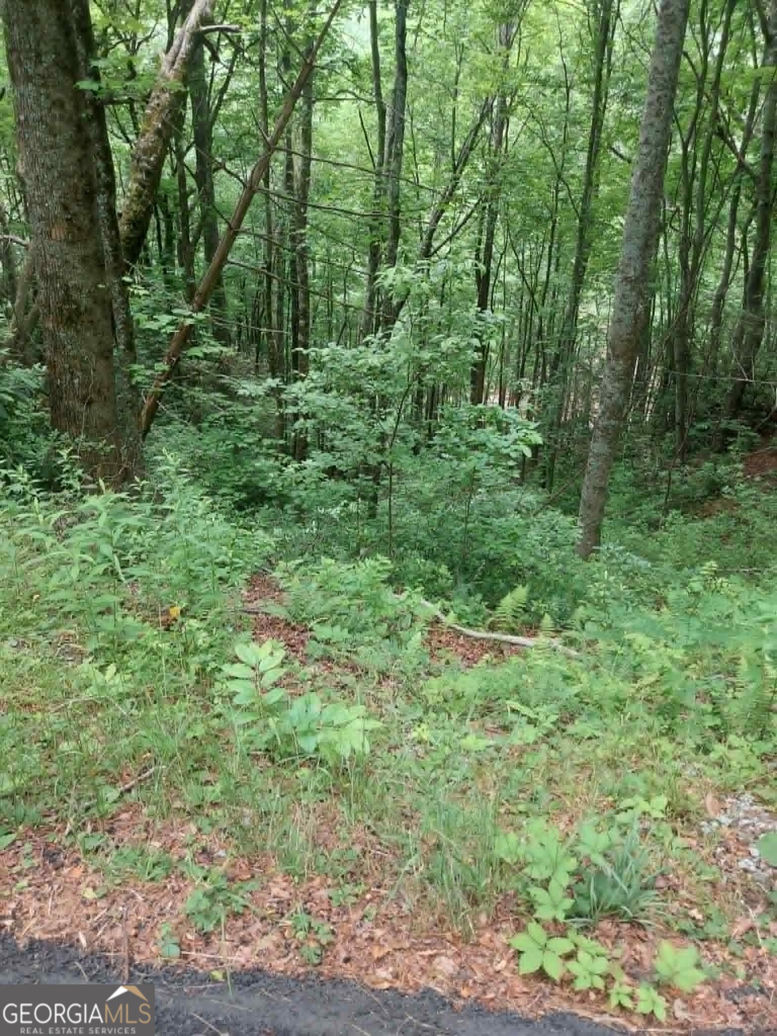 0 Lot 37 Saddleback Circle Sky Valley GA 30537