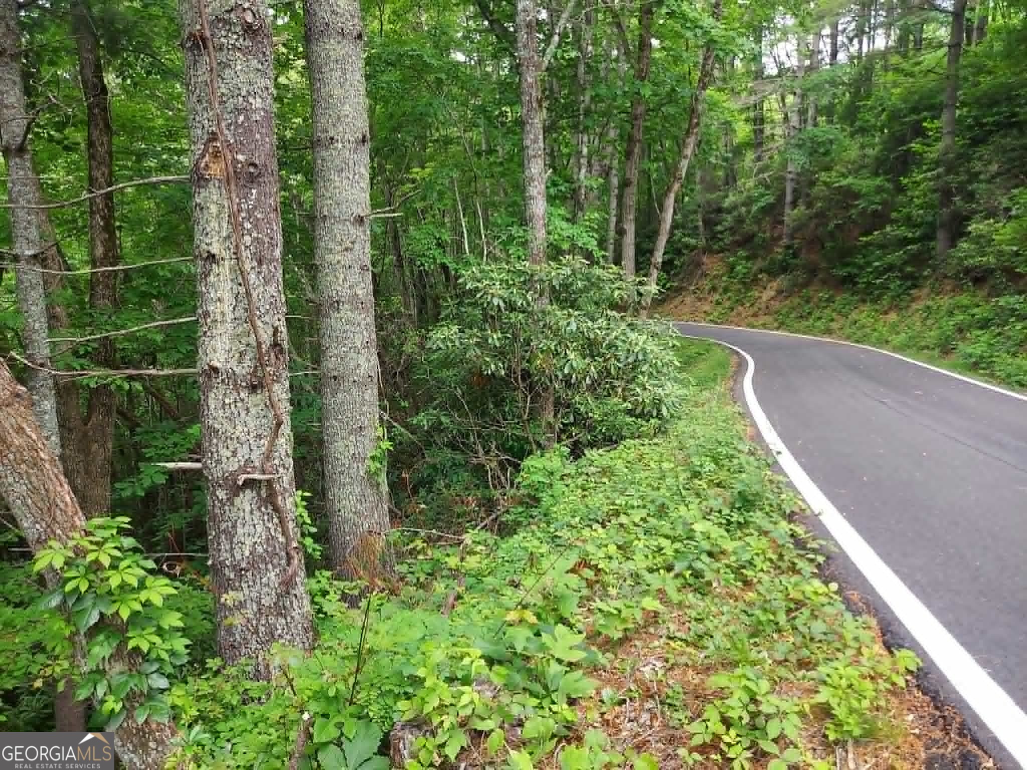 0 Lot 37 Saddleback Circle Sky Valley GA 30537
