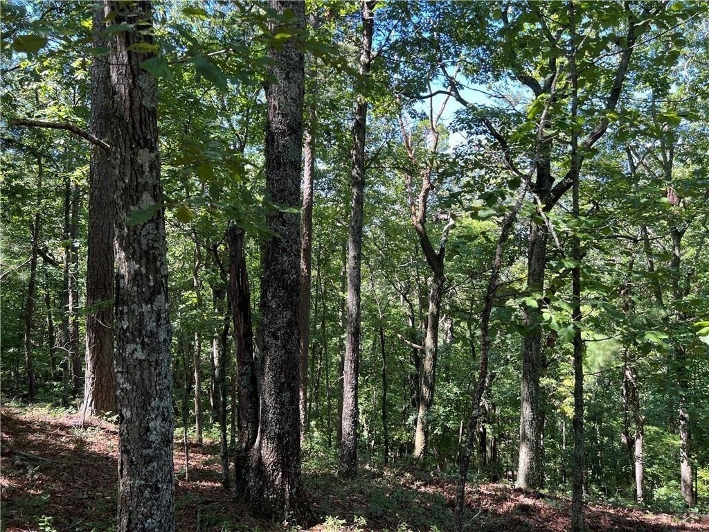 16 Hawks Branch Lane White GA 30184