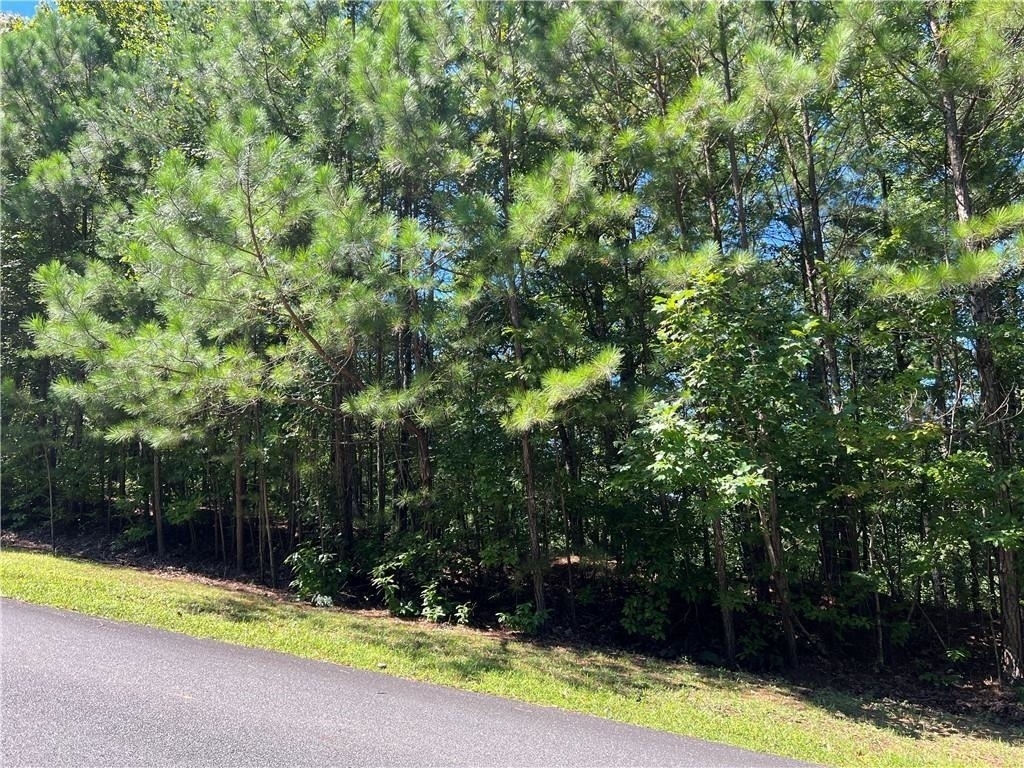 16 Hawks Branch Lane White GA 30184