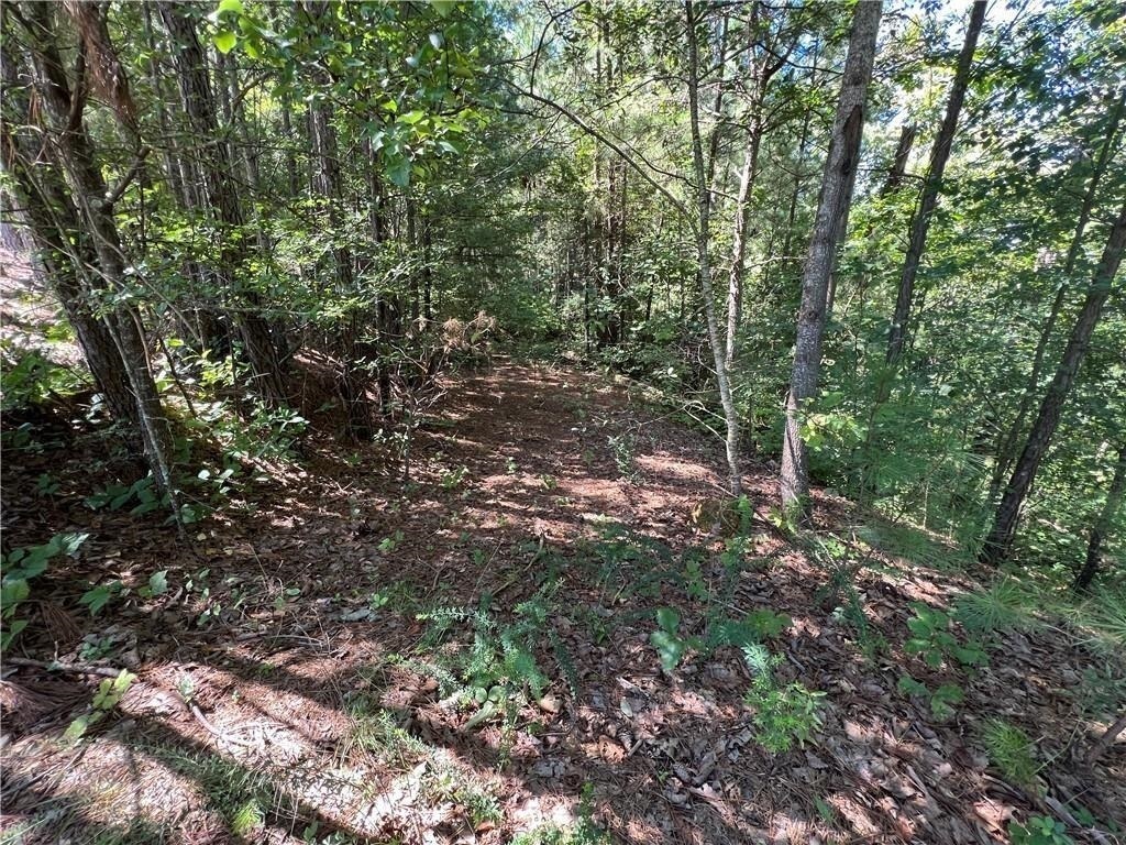 16 Hawks Branch Lane White GA 30184