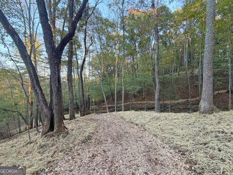 13D Rainey Valley Lane Morganton GA 30560