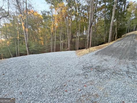 13D Rainey Valley Lane Morganton GA 30560