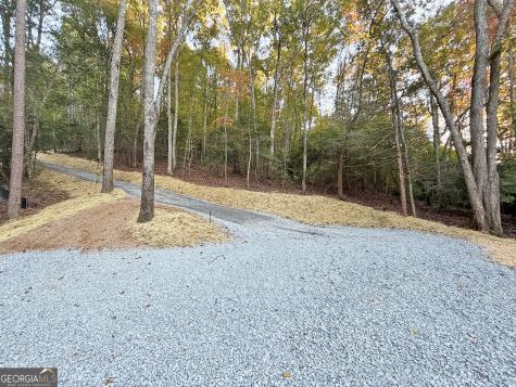 13D Rainey Valley Lane Morganton GA 30560