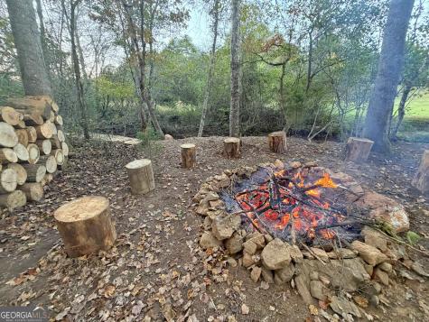 13D Rainey Valley Lane Morganton GA 30560