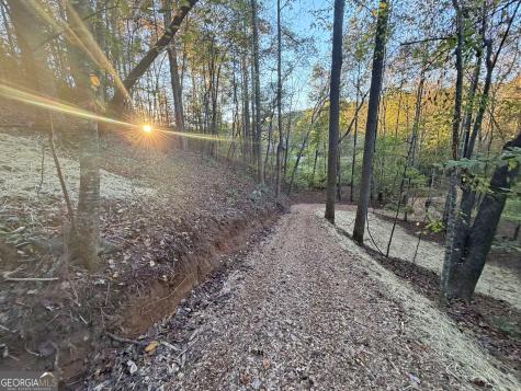 13D Rainey Valley Lane Morganton GA 30560