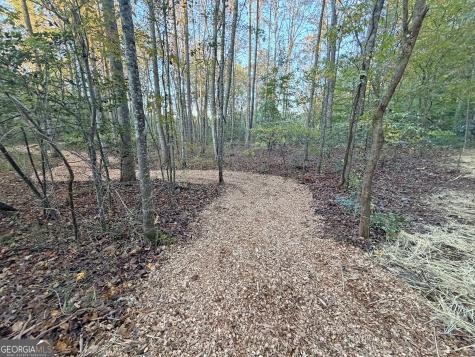 13D Rainey Valley Lane Morganton GA 30560