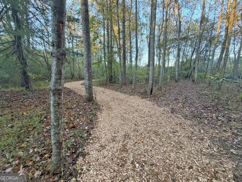 13D Rainey Valley Lane Morganton GA 30560