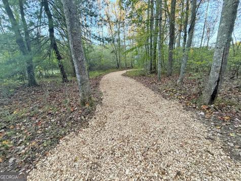 13D Rainey Valley Lane Morganton GA 30560