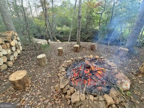 13D Rainey Valley Lane Morganton GA 30560