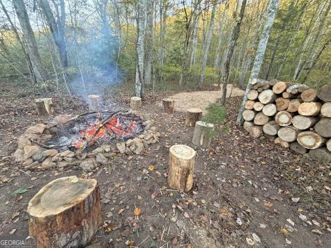 13D Rainey Valley Lane Morganton GA 30560