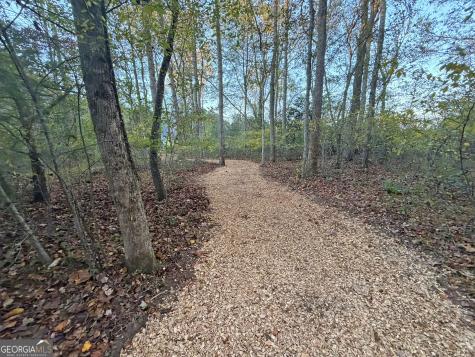 13D Rainey Valley Lane Morganton GA 30560