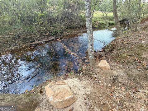 13D Rainey Valley Lane Morganton GA 30560