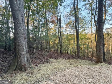13D Rainey Valley Lane Morganton GA 30560