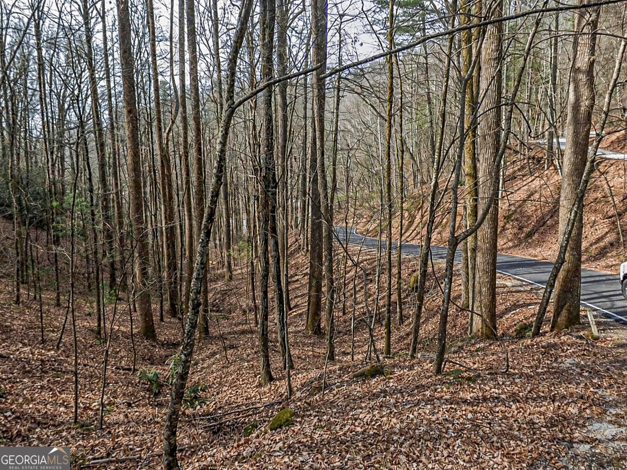 Lot 296 & 297 Evergreen Lane Sky Valley GA 30537