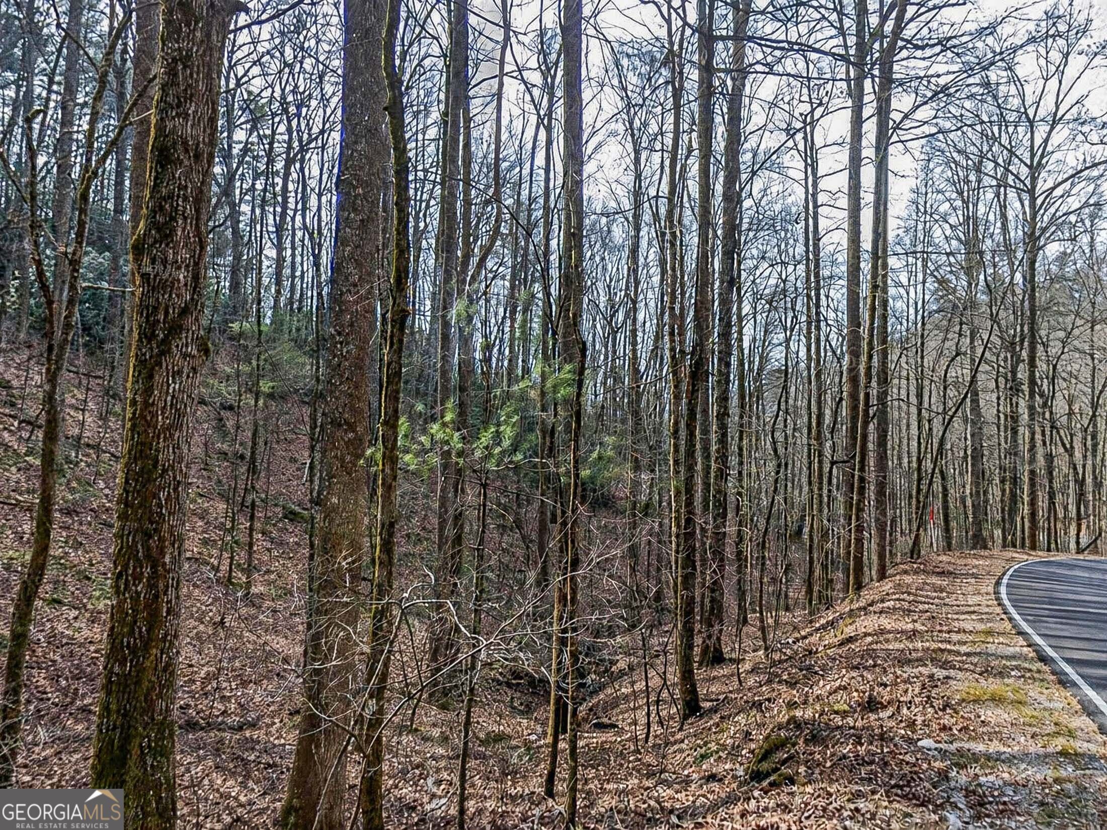 Lot 296 & 297 Evergreen Lane Sky Valley GA 30537