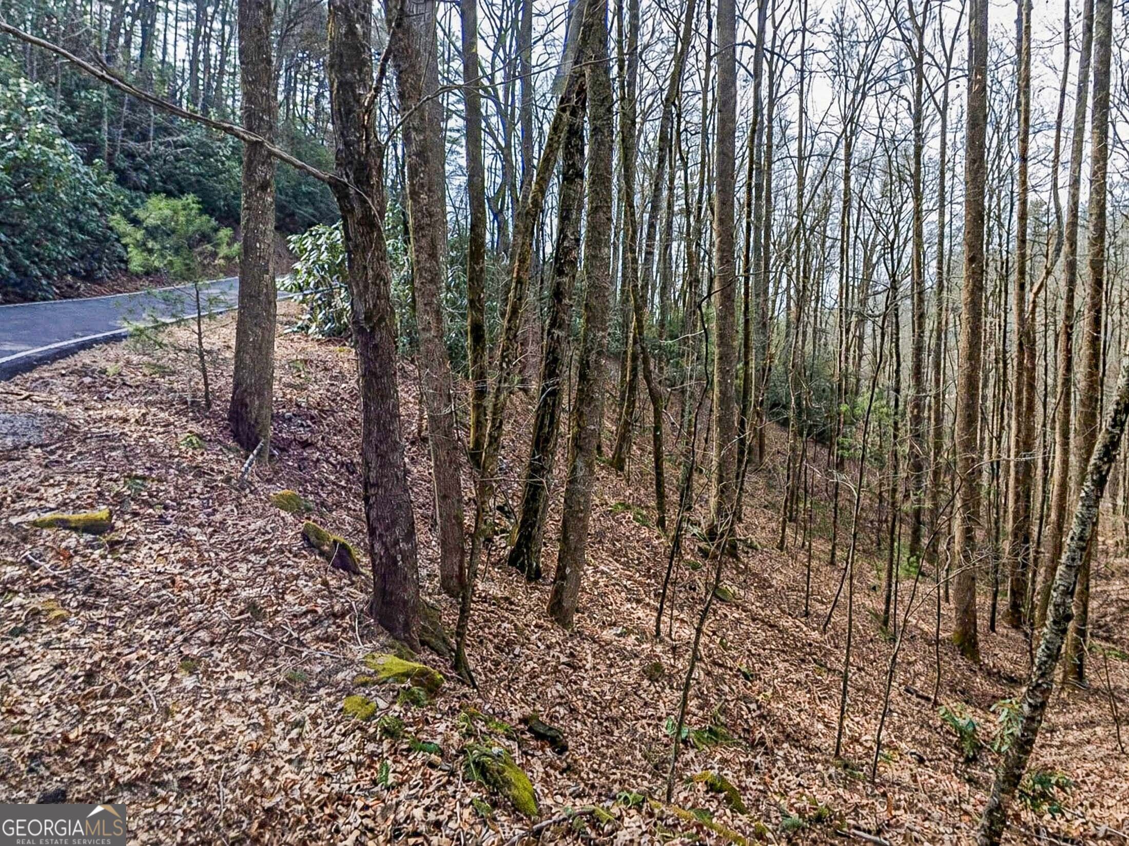 Lot 296 & 297 Evergreen Lane Sky Valley GA 30537