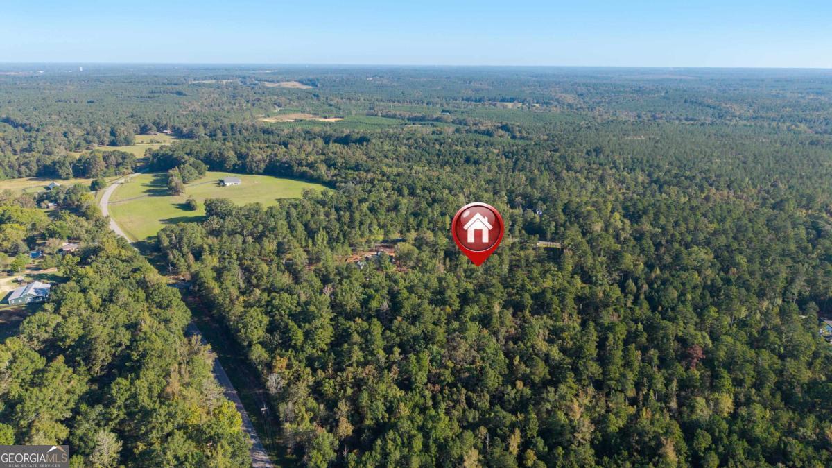 1081 Eagle Way Drive Greensboro GA 30642