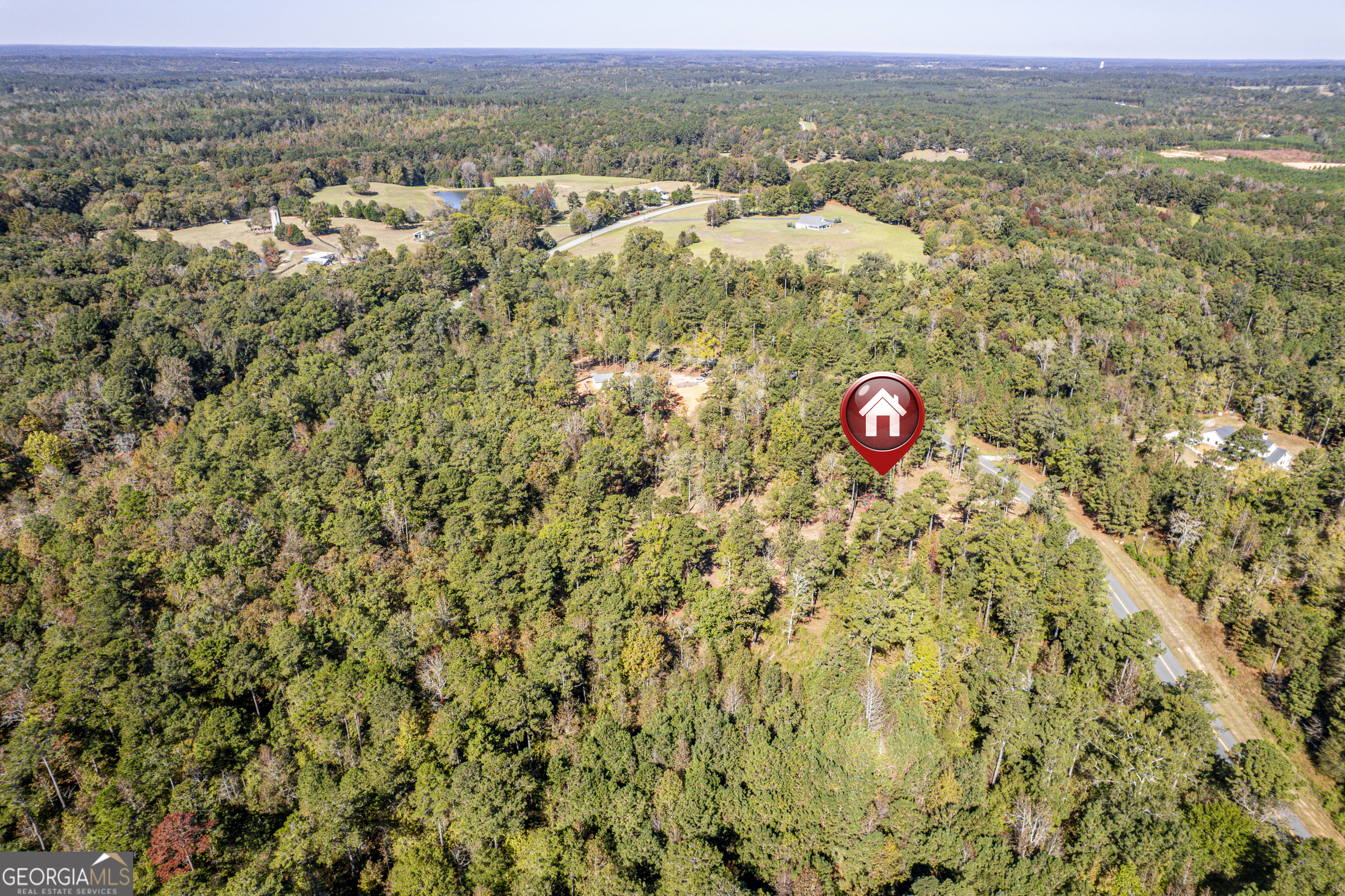 1081 Eagle Way Drive Greensboro GA 30642