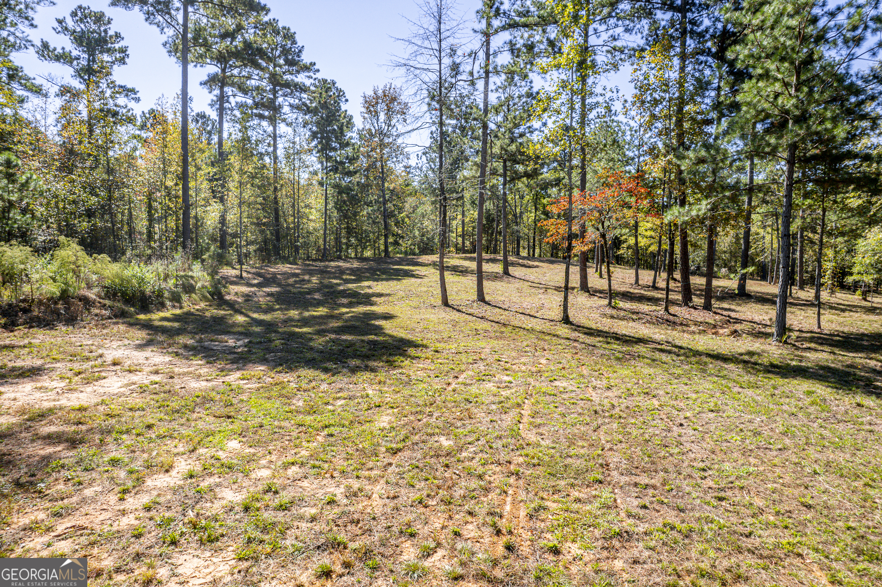 1081 Eagle Way Drive Greensboro GA 30642