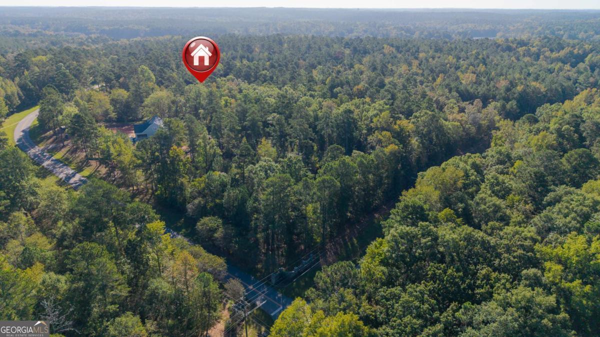 1081 Eagle Way Drive Greensboro GA 30642