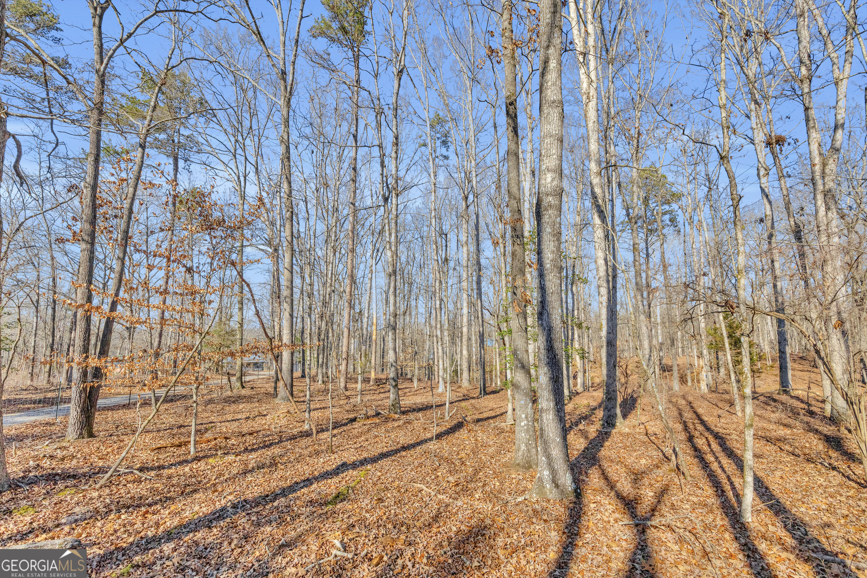 0 Wineberger Road Hartwell GA 30643