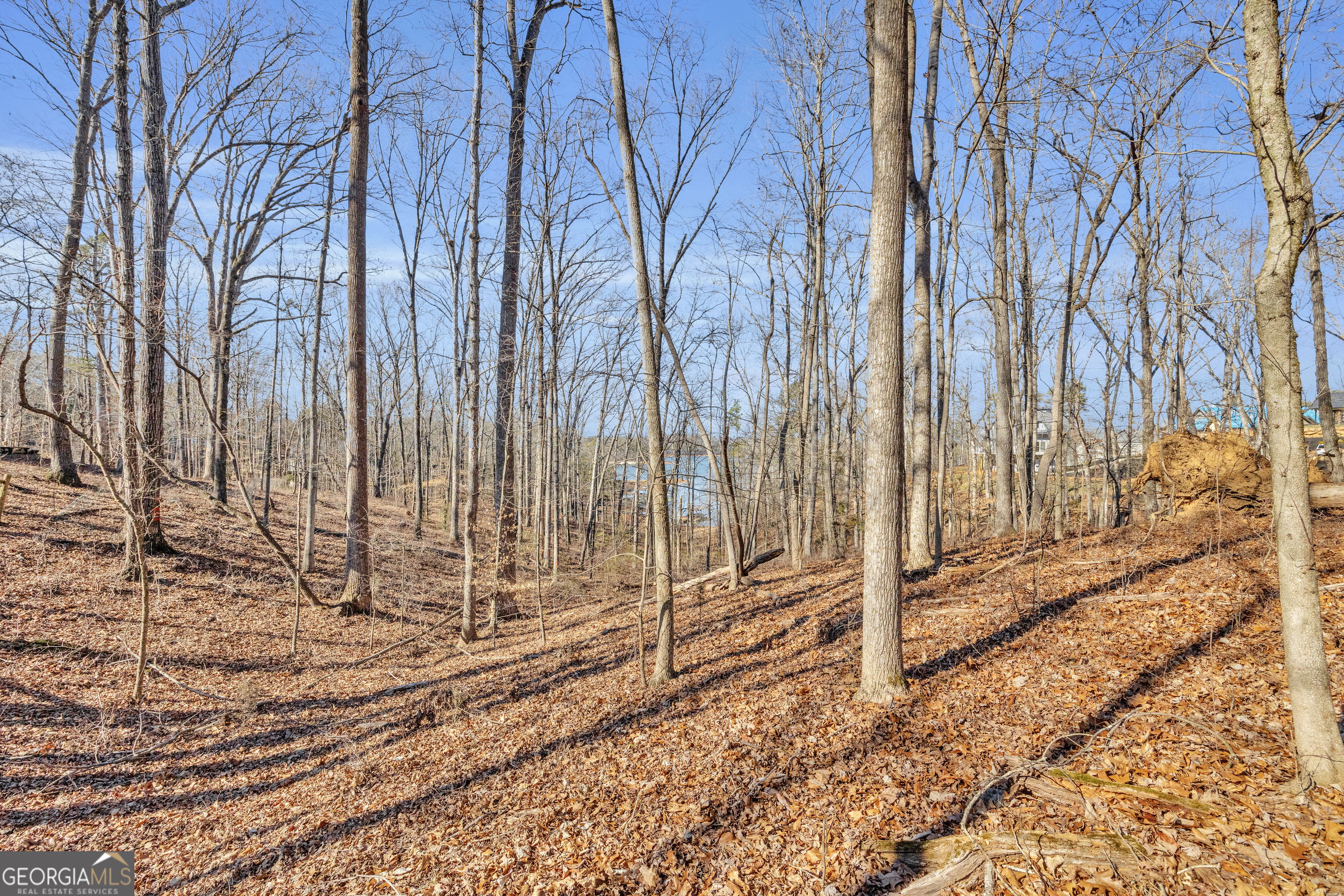 0 Wineberger Road Hartwell GA 30643