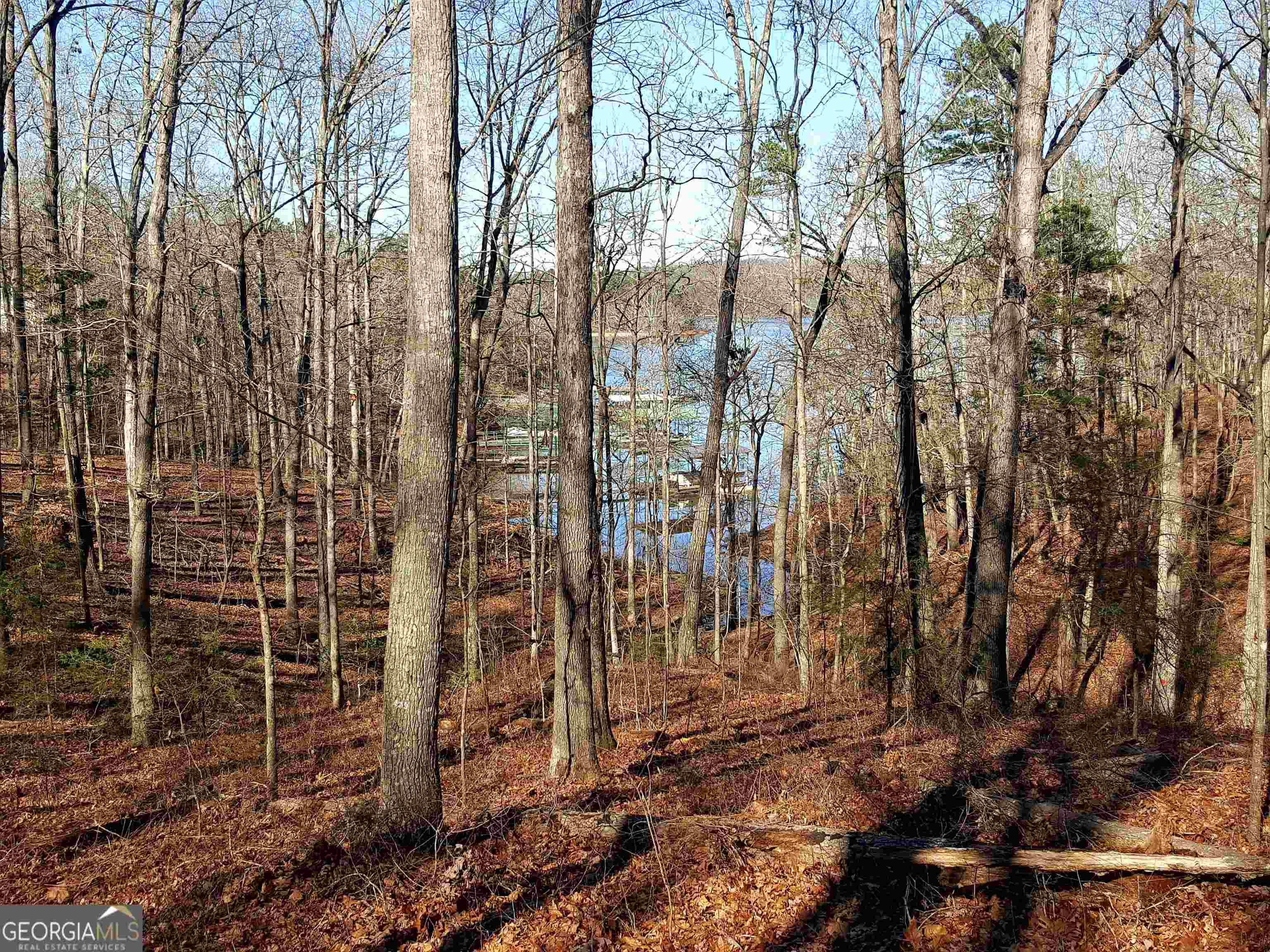 0 Wineberger Road Hartwell GA 30643