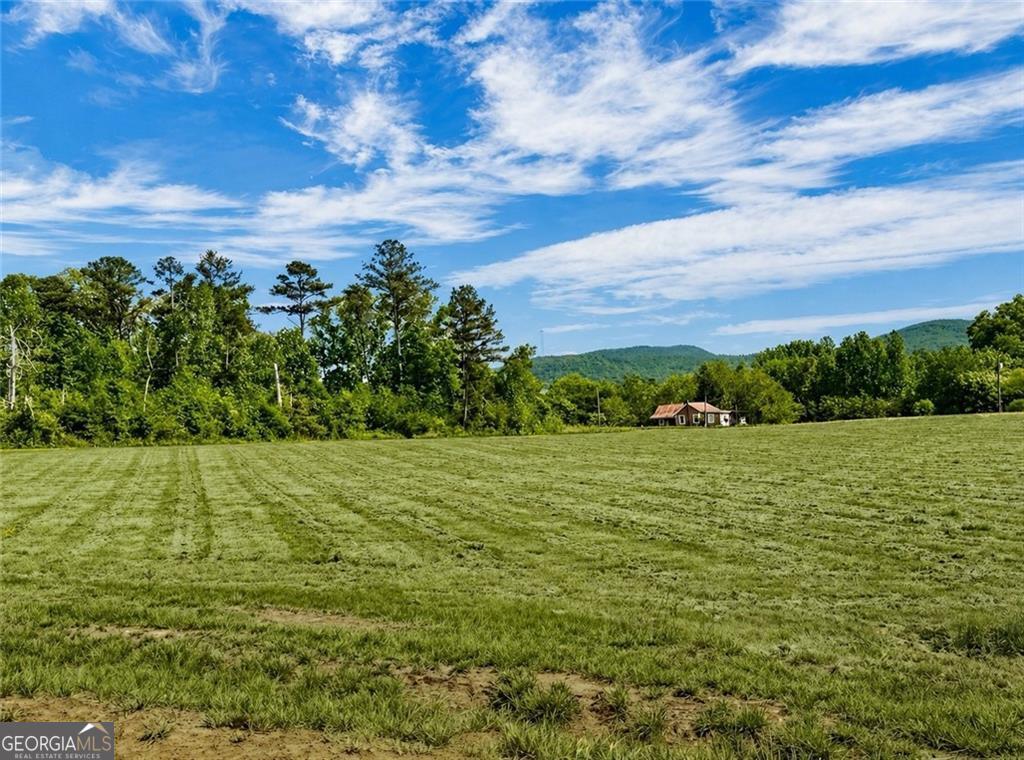 118 Palisade Drive Rydal GA 30171
