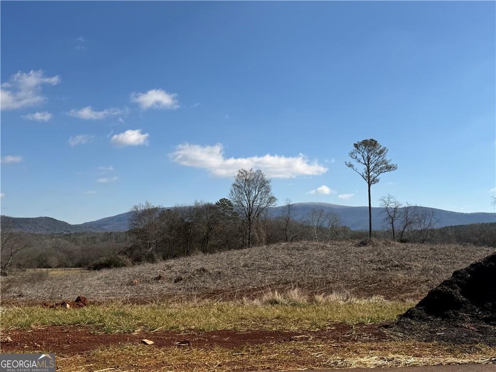 118 Palisade Drive Rydal GA 30171