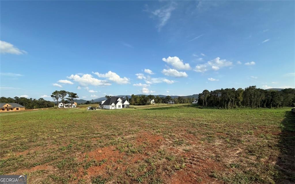 118 Palisade Drive Rydal GA 30171