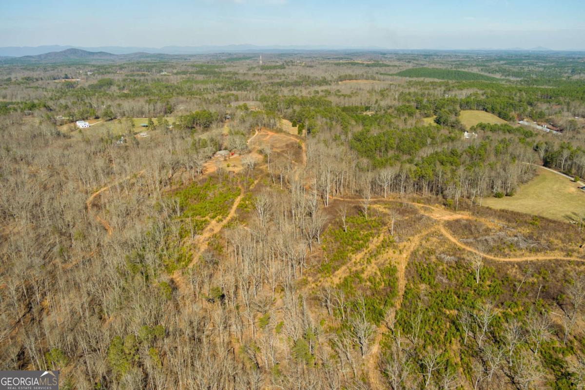 170 Sperin Cabinet Road Ball Ground GA 30107