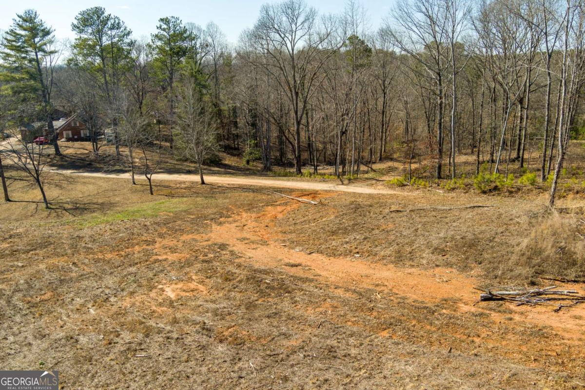 170 Sperin Cabinet Road Ball Ground GA 30107