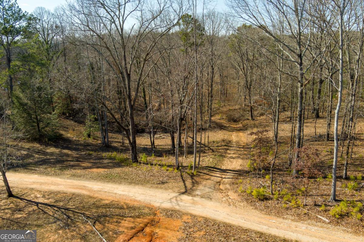 170 Sperin Cabinet Road Ball Ground GA 30107
