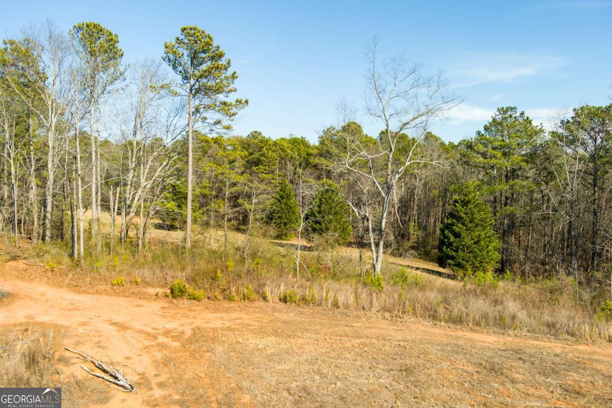 170 Sperin Cabinet Road Ball Ground GA 30107