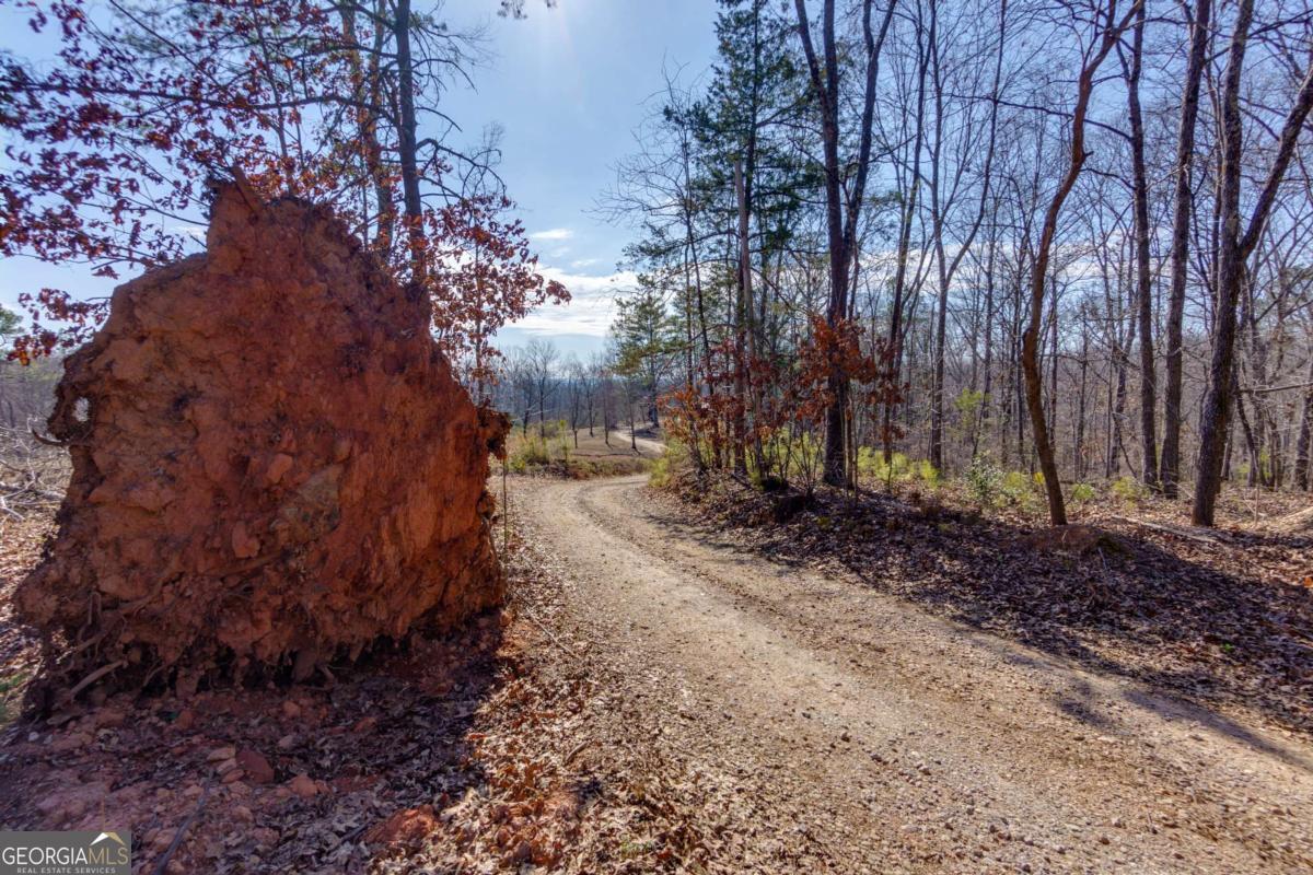170 Sperin Cabinet Road Ball Ground GA 30107