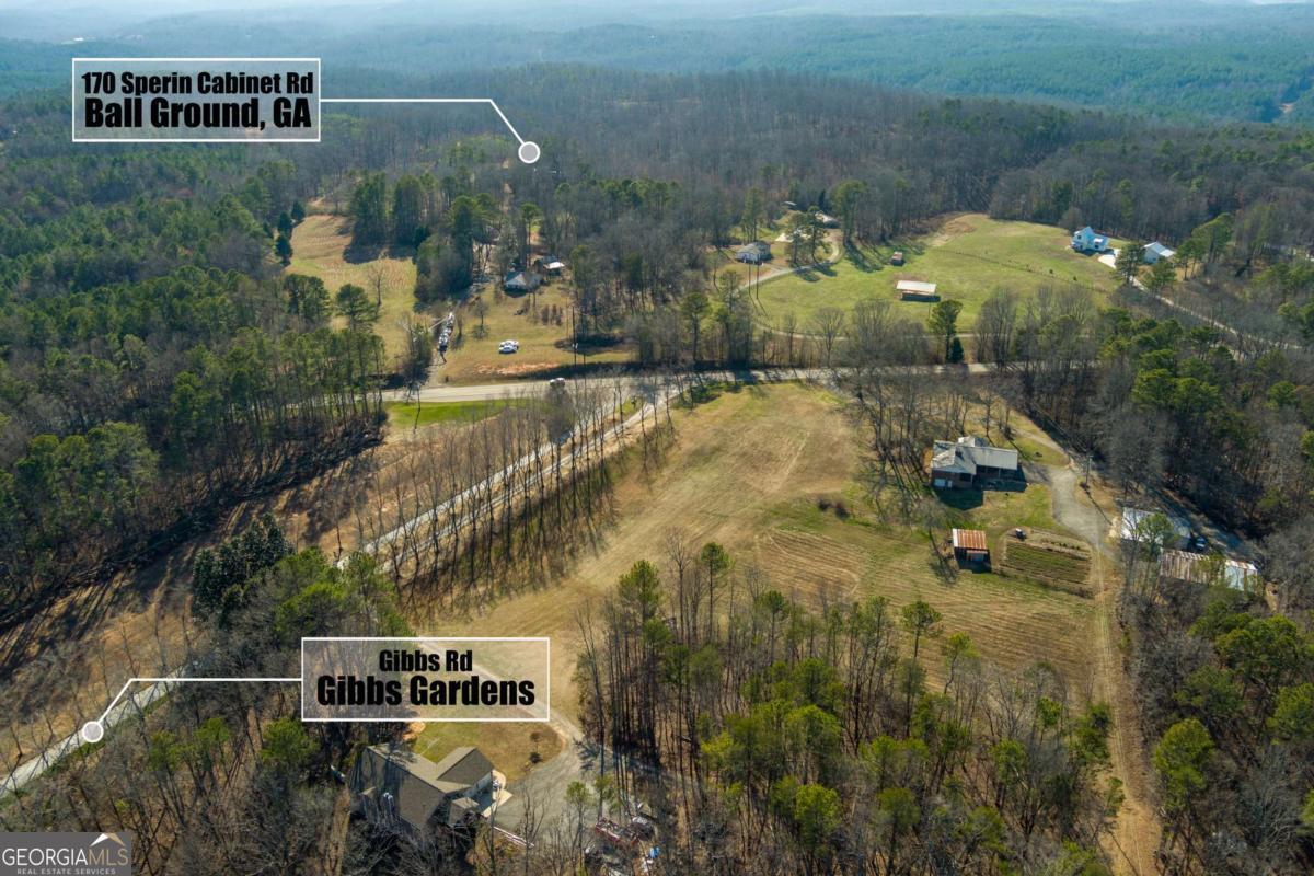 170 Sperin Cabinet Road Ball Ground GA 30107