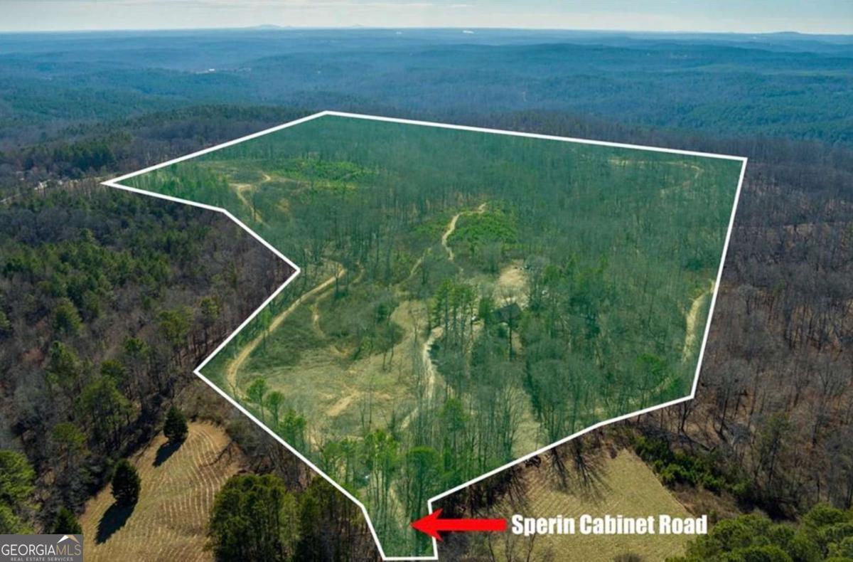 170 Sperin Cabinet Road Ball Ground GA 30107